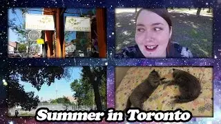 Summer in Toronto - Art stores & Parks (Video #49)