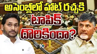 అసెంబ్లీలో హాట్ రచ్చకి టాపిక్ దొరికిందా? | AP Assembly | CM Chandrababu Vs YS Jagan |10TV News