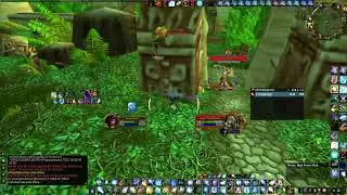 ZG tiger boss reset - Fire Mage