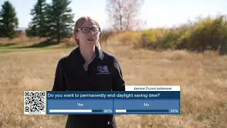 Deer collisions increase by 16% in week following time change: Environment CO