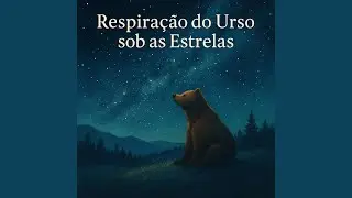 Passos Lentos na Noite