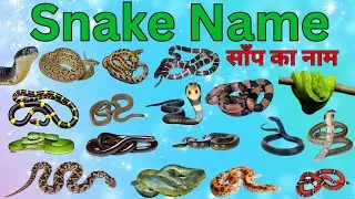 साँप का नाम | Snake Name in Hindi and English | India famous sanke | Kids Educational Video