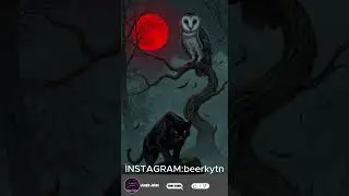 PANTHER+OWL=?