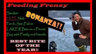 Feeding Frenzy BONANZA!!  Smokin' Hot Slab Panfish & Perch Bite on Private Bay w/ Family & Friends!!