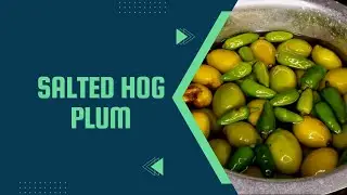 അമ്പഴങ്ങ ഉപ്പിലിട്ടത് | Ambazhanga Uppilittath | Salted Hog Plum | #jrkitchenworld