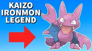 Kaizo Ironmon is the BEST Pokemon Challenge! (Funny Moments)