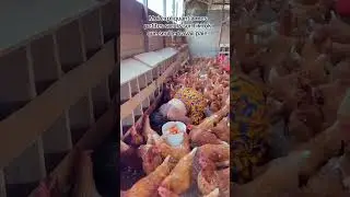 seul le travail paye