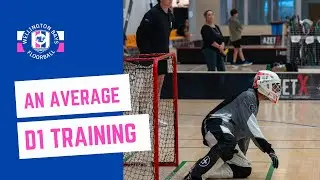 An Average D1 training in New Zealand