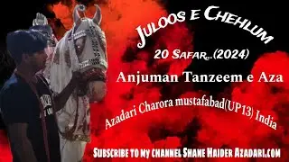Juloos e Chehlum 20 Safar Zuljana Badshah imam Hussain as.Azadari Charora mustafabad UP 13 India 👈👍🏻