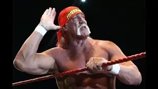 The Immortal Hulk Hogan:  Wrestling&rsquo;s Greatest Icon