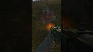 STALKER 2 Cat Bayun Harassing Stalkers #stalker2 #gameplay #gamingshorts