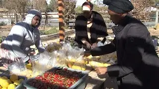 Refugee-run farm provides organic produce to Las Vegas Valley