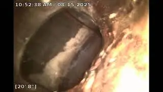 7170 SW Queen Ln. Sewer Inspection