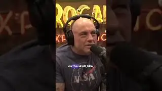 Mel Gibson #joerogan #jre #trending