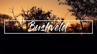 Weekend in the Bushveld