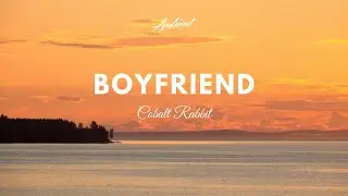 Cobalt Rabbit - Boyfriend (Music Video)