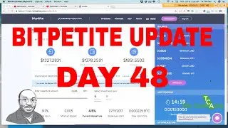 BITPETITE DAY 48 UPDATE! 6 Weeks Investments Expired & PAID in FULL