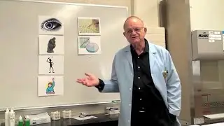 Evidence Based Decisions