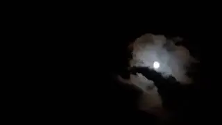 Relax 7 Hours| Night Sounds| Full Moon| Lunar Calendar| 15 August| Moonforest| YellowStone Mountain