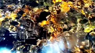 The River Holme (Beatrice, Paradise, Hail: Holme)
