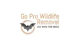 Go Pro Wildlife Removal | Working with Nuisance Wildlife