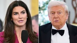 Кейтлан Коллинз аплодирует в ответ Трампу, назвавшему её &laquo;глупой и противной&raquo; в вирусной перепалке