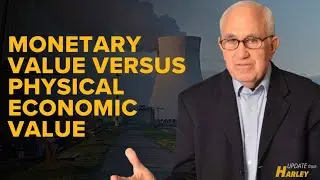 Monetary Value Versus Physical Economic Value