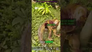 ARK Kill Dilo, Build Argy Trap Underwater to Jungle Gameplay