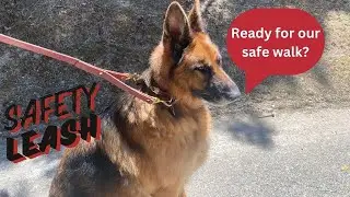 Ravenox Leather Safety Dog Leash | Durable, Handcrafted, and Safe for Training