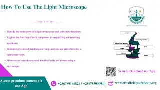 How To Use The Light Microscope