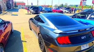 Full Mustang Cruise and walkaround of 30+ mustangs.