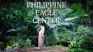 #ExploreDavao: Philippine Eagle Center | #DiyosaLife TV