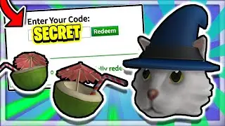 2020 ROBLOX PROMO CODES!