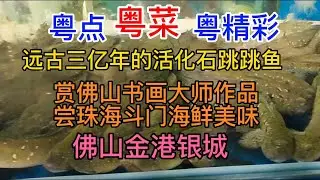 粤点粤菜粤精彩，远古三亿年活化石跳跳鱼，赏佛山大师书画作品，尝珠海斗门海鲜美味，佛山金港银城，粤语中字幕
