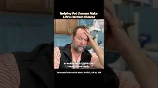 Why Pet Owners Choose Marc Smith, DVM, MS for Telemedicine