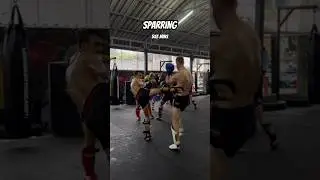 Muaythai Training at THAILAND 🇹🇭 Lamai Muaythai Camp #muaythai #thailand