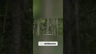 Terrifying Blue Tent In Forest - Screams of Distress