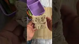 Cute cat lunch box