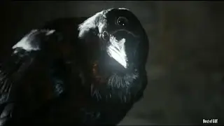 Game of Thrones | When Bran👀 saw Three Eyed Crow  | S1_E4