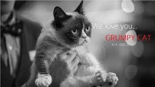 We love you, Grumpy Cat... (Clip) | GRUMPY CAT R.I.P. 2012-2019.