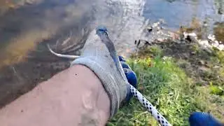 Magnet Fishing more finds at the dog park 