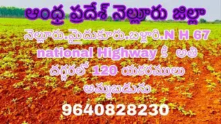 120 యకరములు వ్యవసాయ భూమి అమ్మబడును 9652606027