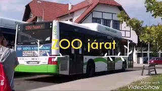 Zoo járattal a miskolci vadaparkba