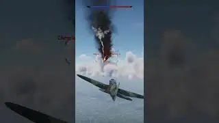 Yak-7B