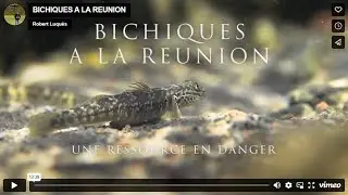 Bichiques à La Réunion, une ressource en danger