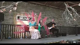 Flamenco trio in Belturbet