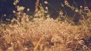 Chillstep -Best of Chillstep - 2015 Mix