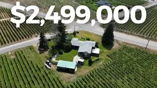 SOLD! HIGH PRODUCING 10 ACRE VINEYARD in sunny Osoyoos