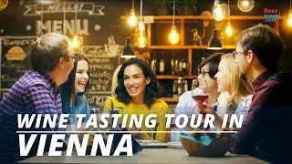 Vienna Wine Tour | Vienna Wine Bar | Best Places for Wine Tasting in Vienna