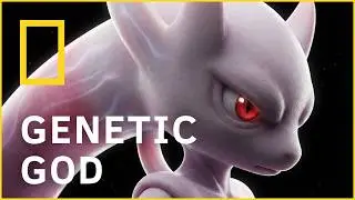 If Mega Mewtwo Y Was Real | Pok&eacute;mon Nature Documentary